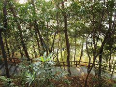 -铁山坪森林公园