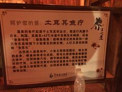 -宁海森林温泉