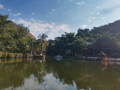 -西双版纳原始森林公园