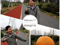 -上海长兴岛郊野公园