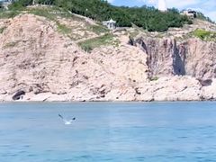 -长岛南北长山旅游景区