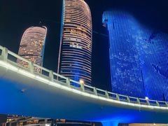 -演武大桥观景平台