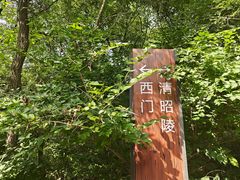 -北陵公园
