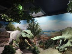 -国家自然博物馆