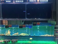 -庆赫隆融合菜馆(群力店)
