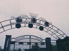 -武汉知音号