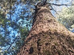 -苍山感通索道