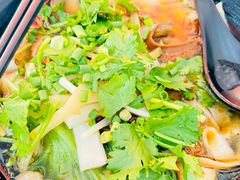 牛肚刀削面-朝阳路拉面店