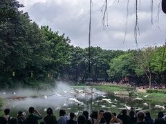 -广州长隆飞鸟乐园