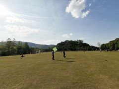 -大屏嶂森林公园