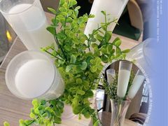 -探窝·竹笙椰子鸡(杨箕店)