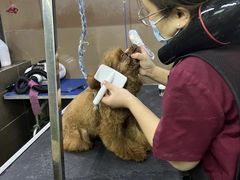 -美联众合动物医院(唯恩分院)