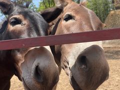 -上海玛雅海滩水公园