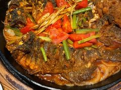 -老板恋上鱼(印象城店)