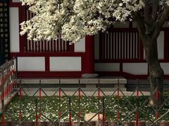 -大慈恩寺(大雁塔)