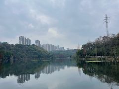 -重庆彩云湖湿地公园
