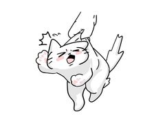 -翊宠yipet猫狗购宠庄园犬舍•猫舍