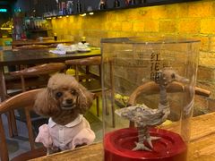 -土蚝·高压锅生蚝(百姓美食街店)