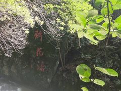 -太湖源风景区