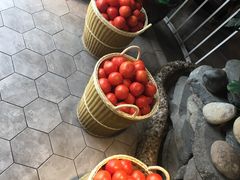 -蕃茄述·好汤自然来(江汉路店)