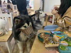 -李小姐の猫咖啡馆(五角场店)