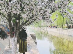-海棠花溪(元大都城垣遗址公园)