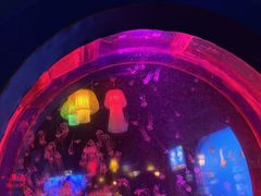 -太平洋海底世界