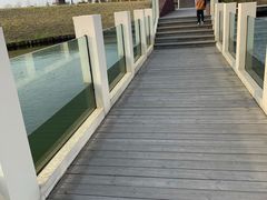 -春花秋色城市公园