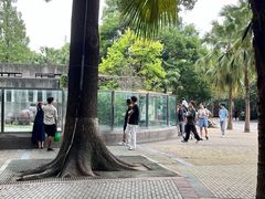 -成都动物园