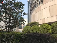 -上海锦江汤臣洲际大酒店壹阶层