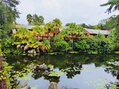 -奥兰多迪士尼动物王国乐园