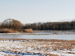 -北京麋鹿生态实验中心