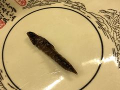 -多哥水傣味餐厅(司马巷店)