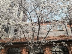 -上海瑞金洲际酒店