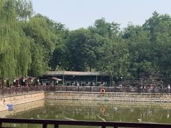 -尚庄度假村·庭台树下·户外烧烤·团建CS·轰趴营地(上庄水库店)