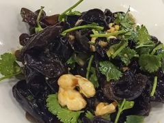 -洞庭家宴·头牌甲鱼(广渠门店)