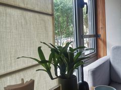 靠窗位-竹里馆 ·茶食(奥体店)