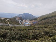-长沙黑麋峰国家森林公园