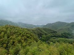 -宁波浙东大竹海景区