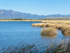 -野鸭湖国家湿地公园
