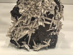 -墨尔本博物馆(Melbourne Museum)