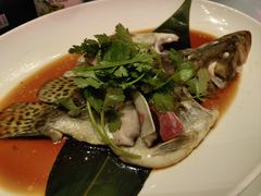 -上海外滩茂悦大酒店