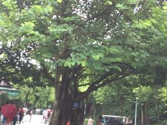 门面-越秀山游泳场