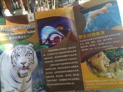 -清迈夜间动物园