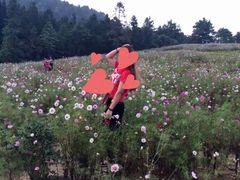 -重庆云阳龙缸景区