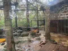 -海南热带野生动植物园