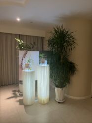 -东英经典SKIN&SPA