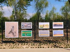 -野鸭湖国家湿地公园