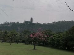 -南沙蒲洲花园