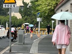 -清真·西北桥头拉面大王(丁家桥店)